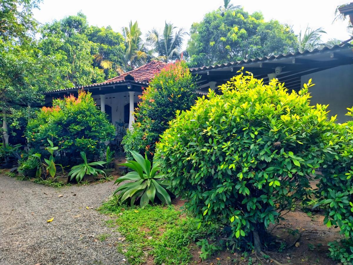 Dickwella Green Villa エクステリア 写真